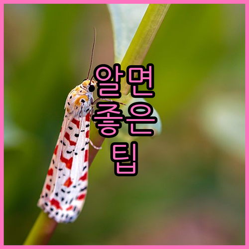 개인회생 성공 핵심 전략: 소득, 채