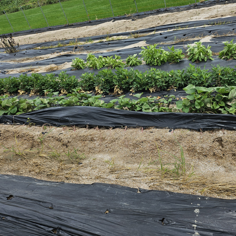 당진시침수 피해 신고 절차
