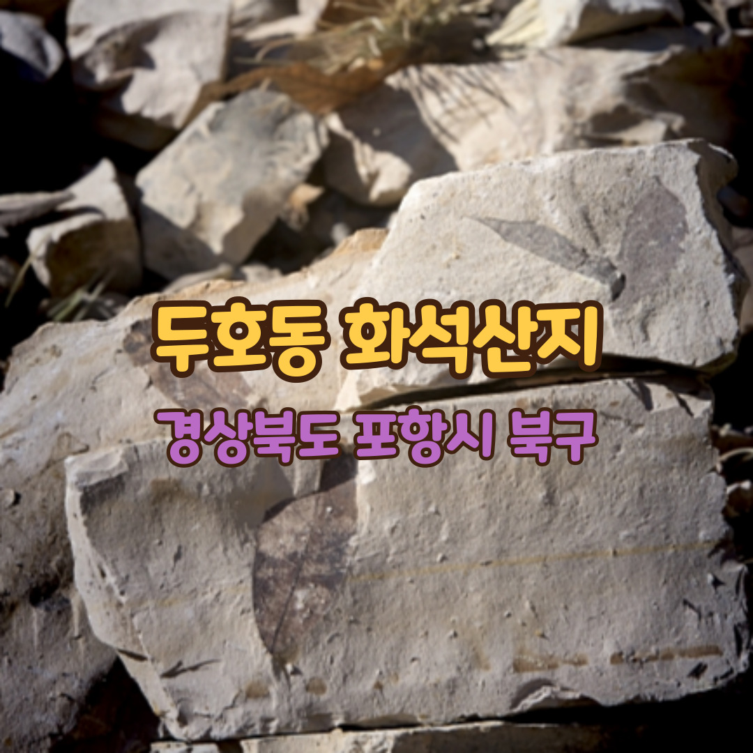 두호동화석산지