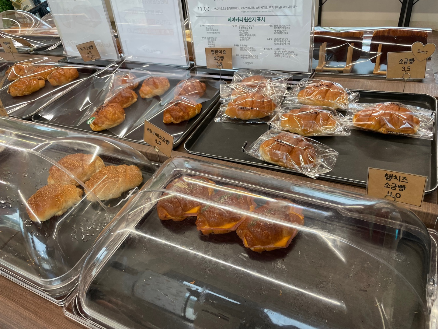 용인 식물원 베이커리 카페 어반리프