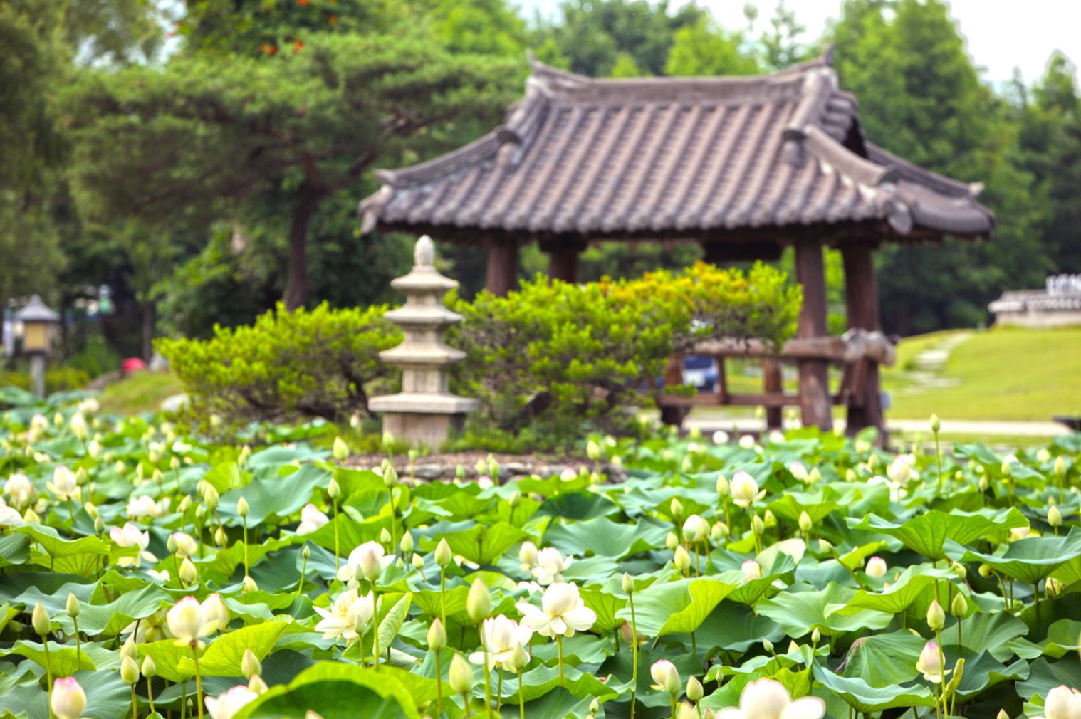 10월 데이트 여행지 세미원