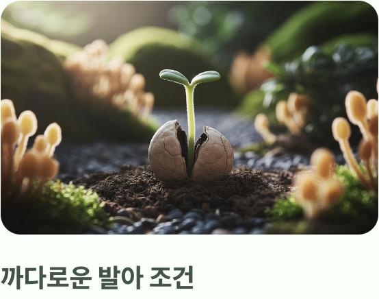 까다로운 미식가, 특별한 '곰팡이'와의 공생