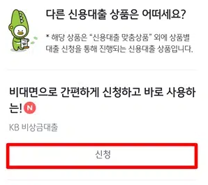 국민은행 비상금대출