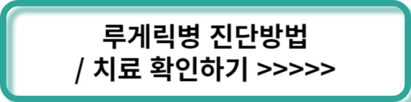 추가정보 링크