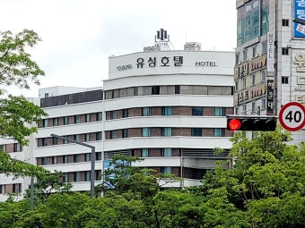 대전 진남포면옥(6시 내고향 방영)｜평양냉면의 진심을 만나는 곳