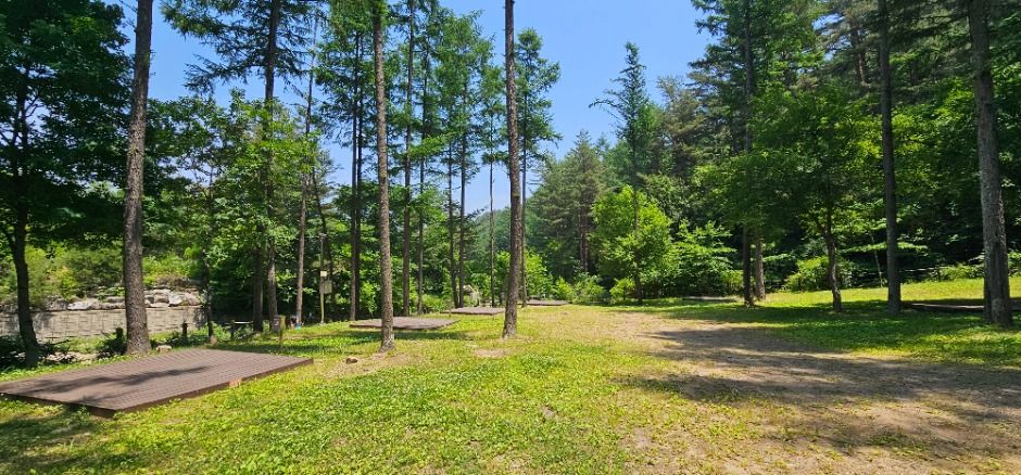 봉화 가볼만한곳 베스트10