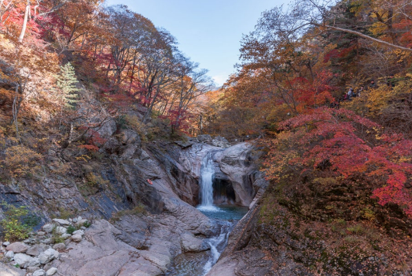 주전골단풍