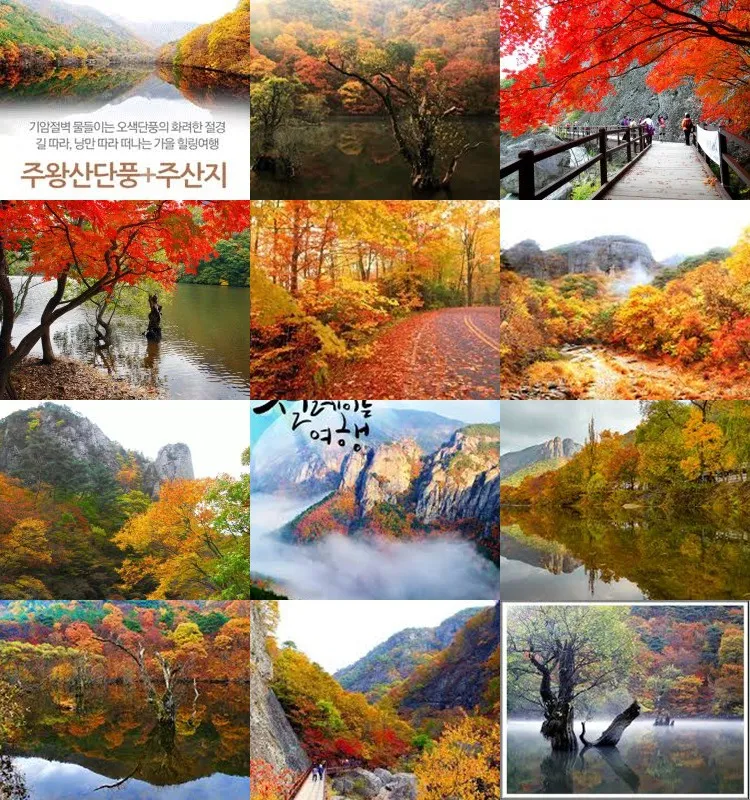 청송 주왕산 여행 코스 폭포 산책 주차 가을 단풍 포인트_1