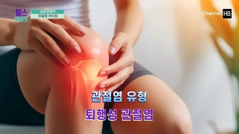 일본무릎관절염약
