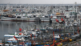 제주 한림항 사진