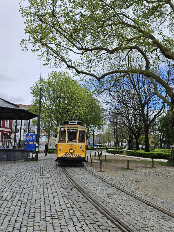 포르투 거리 트랩