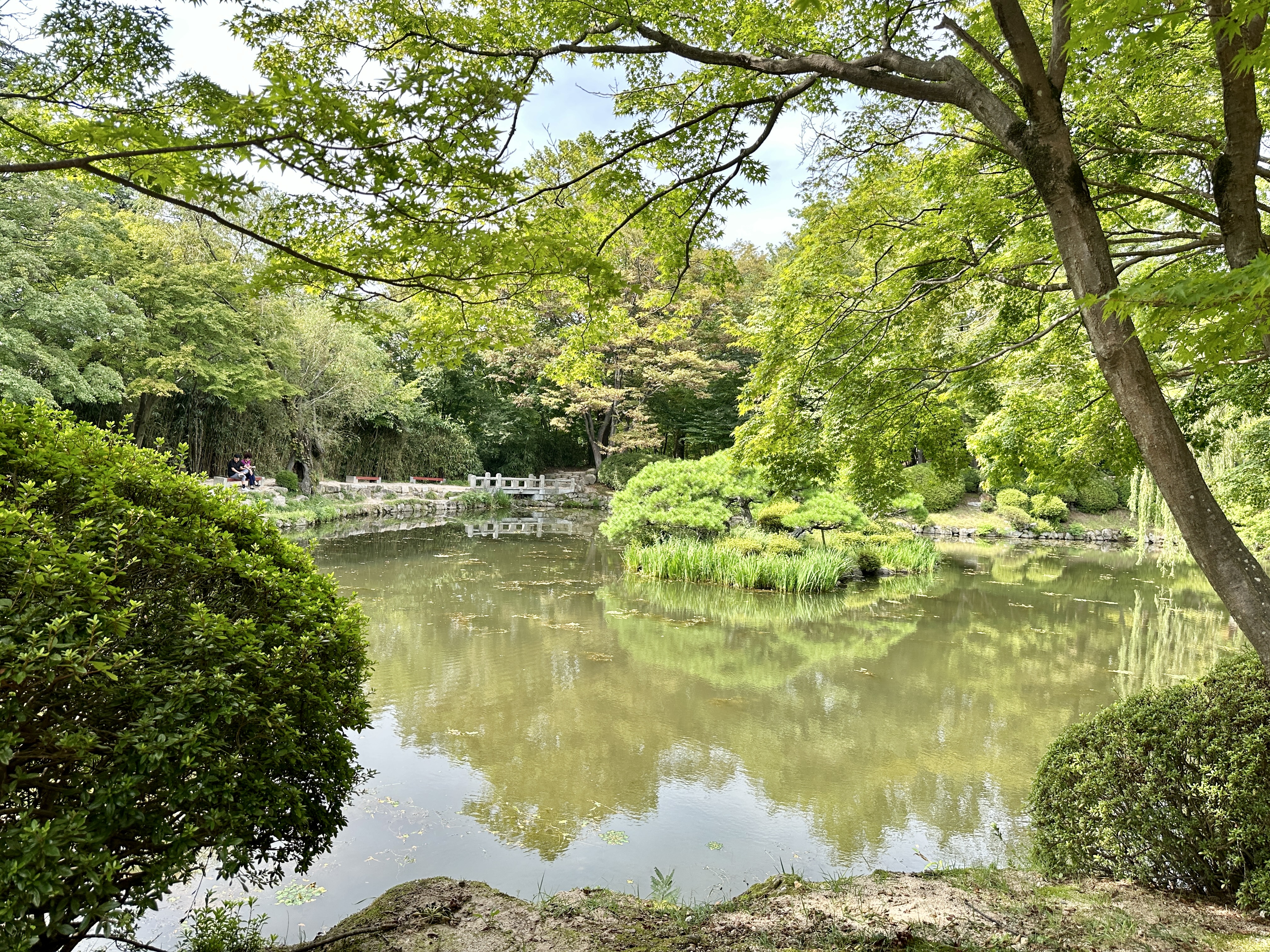 불국사 앞 연못