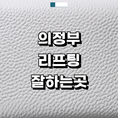 의정부시 리프팅 병원