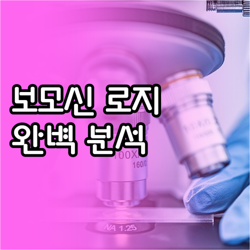 레이크 보모신 로지 추천! 객실, 위..