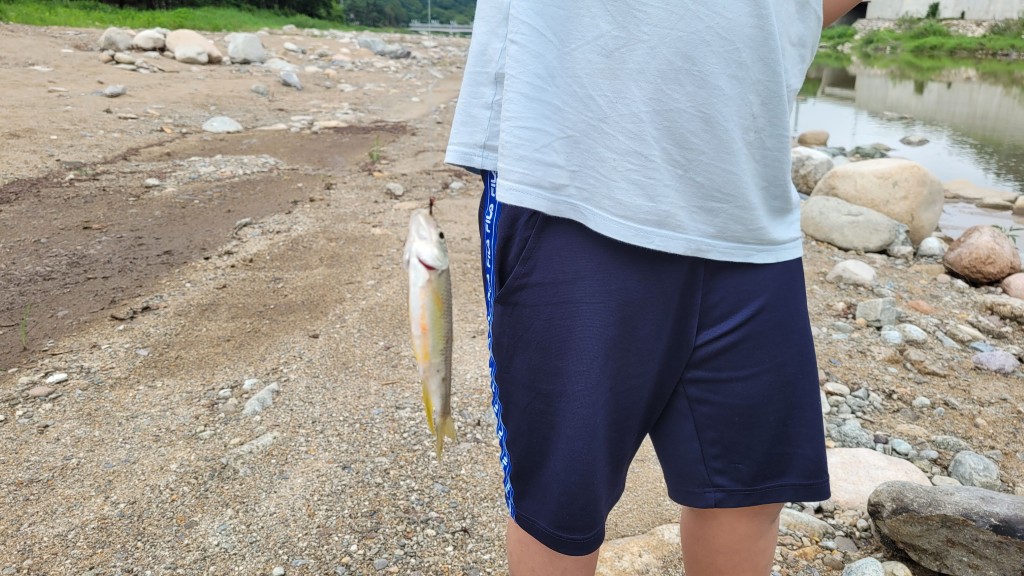 구만동 계곡에서 낚시로 잡은 물고기