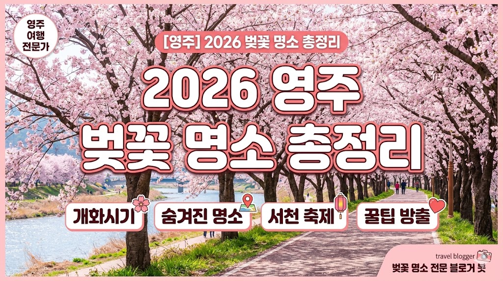 영주 벚꽃 명소