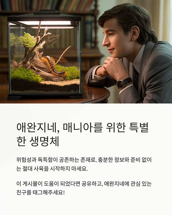 매니아를 위한 생명체