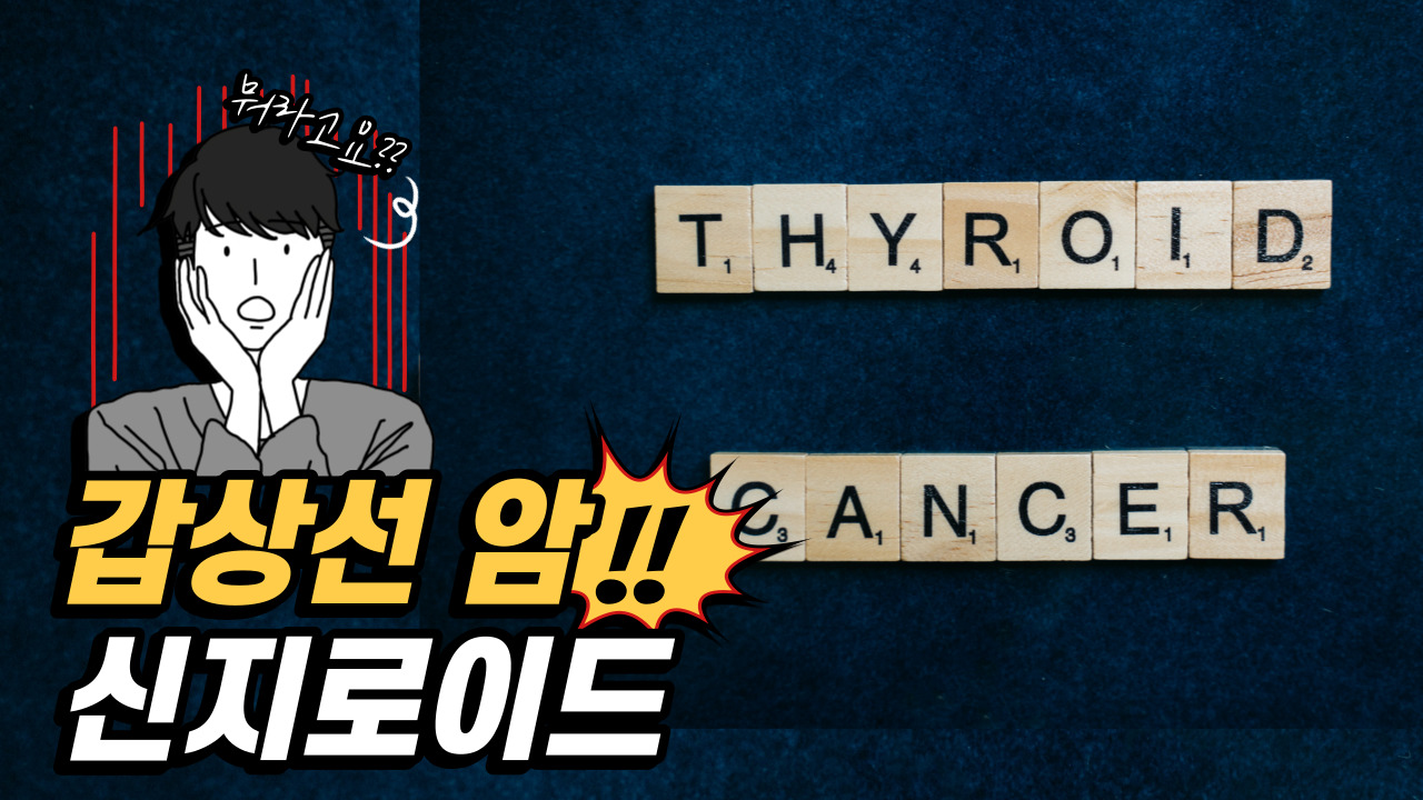신지로이드 / 갑상선암 / 약물 / 갑상선 항진증