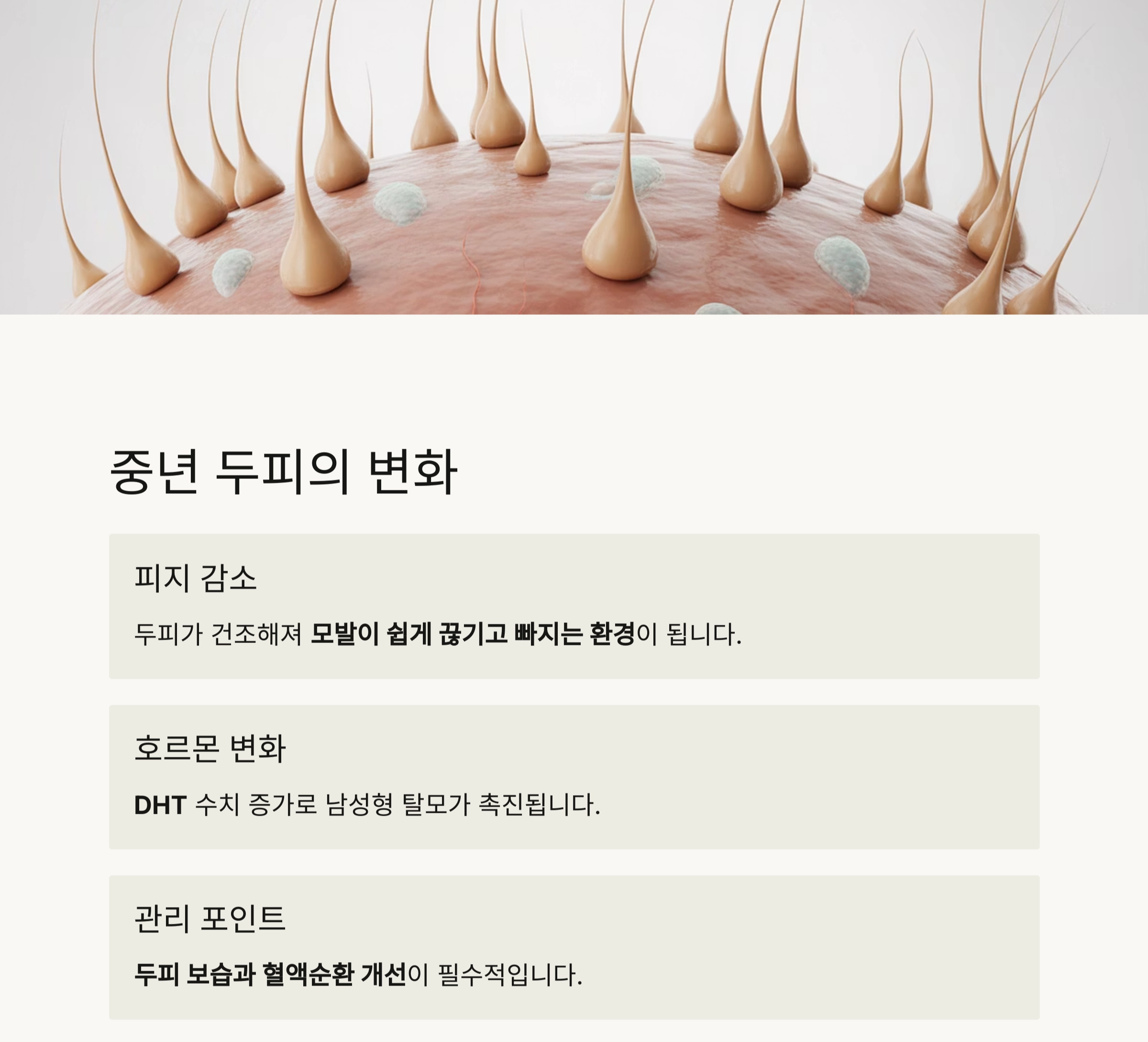 중년의 두피 건강, 탈모 예방을 위한 똑똑한 헤어 케어 전략