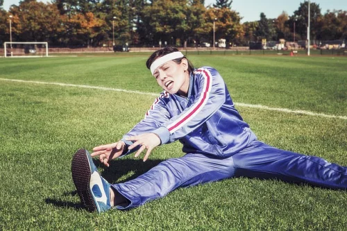 보스웰리아-효능