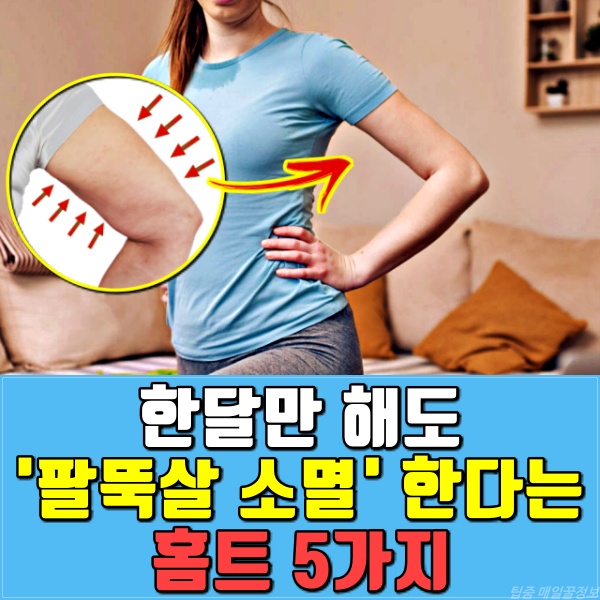 팔뚝살빼는 운동 방법, 팔뚝살 빨리 빼는 운동, 다이어트, 홈트레이닝, 피트니스, 건강, 팁줌 매일꿀정보