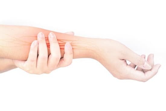 척골신경 (Ulnar nerve) ❘ 해부학과 임상적 의의