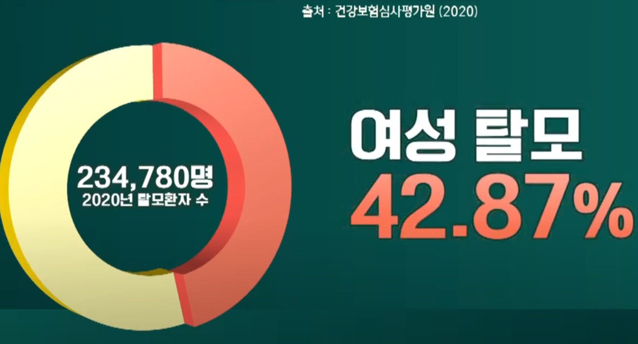 여성 탈모 비율(출처:건강보험심사평가원)