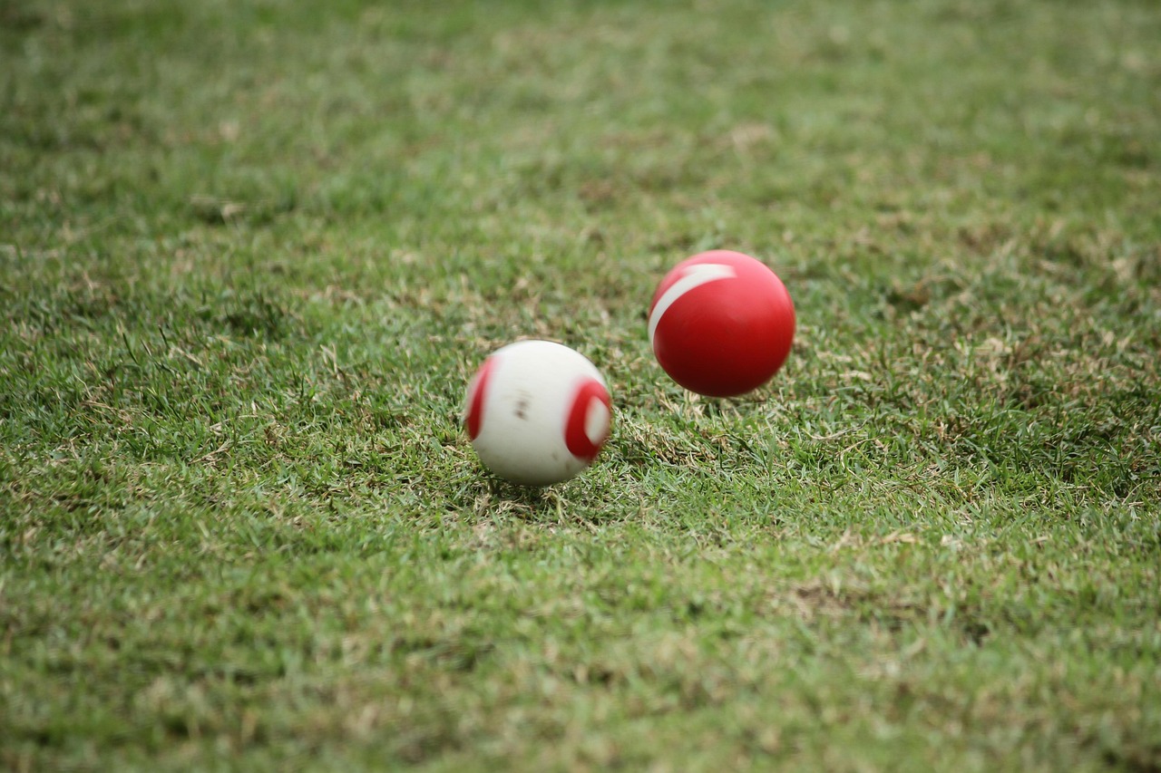 잔디에 있는 게이트볼 사진 첨부