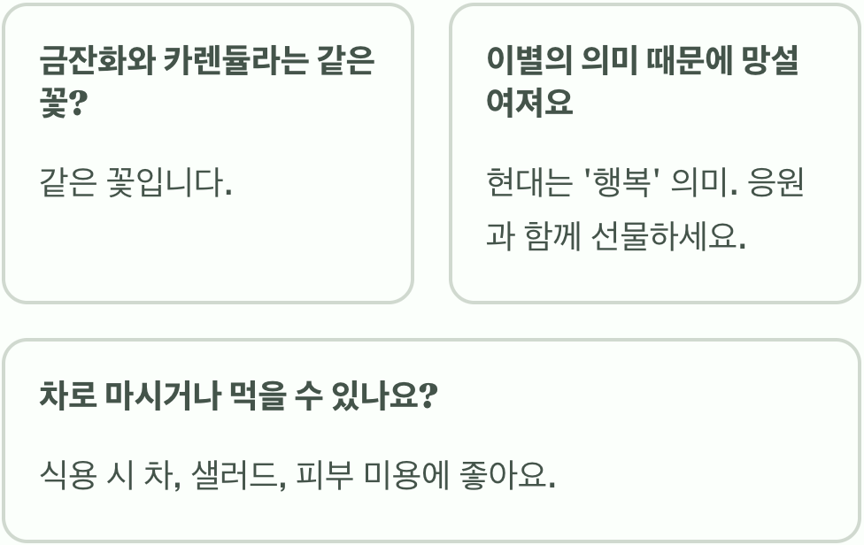 금잔화 꽃말과 색상별 의미