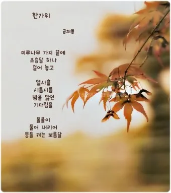 그리움 관련 시 모음 100선_17