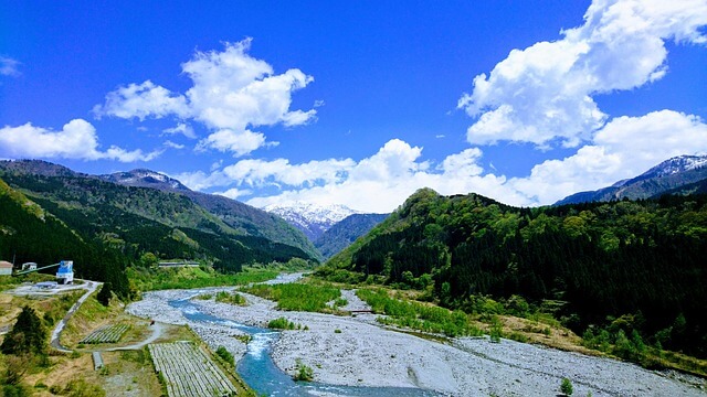 자연휴양림 숲나들e 예약방법, 내가 추천하는 자연휴양림 Best 3
