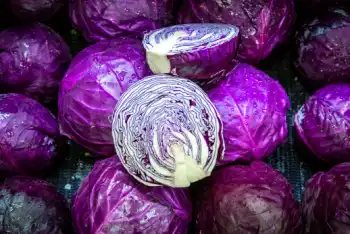 양배추 효능 및 부작용, 영양성분