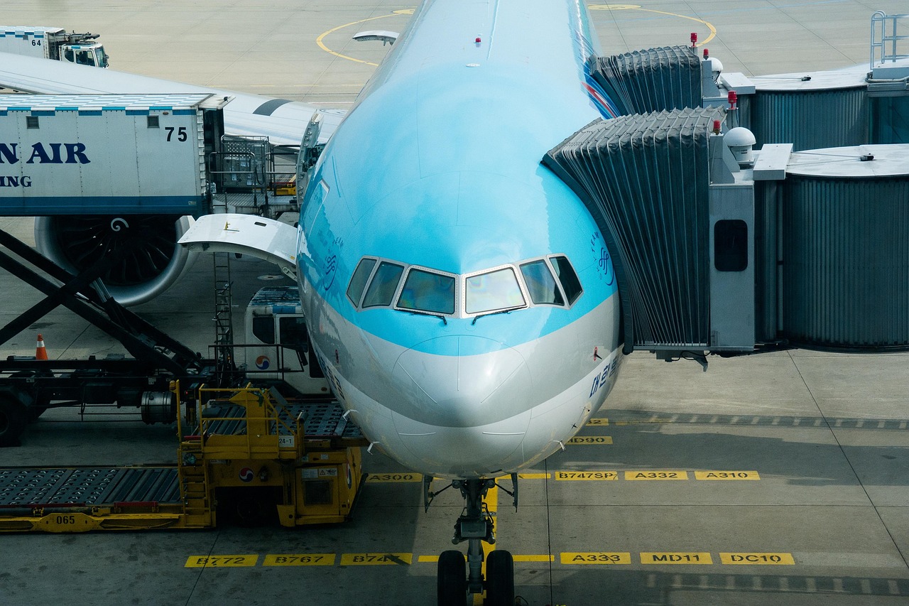 항공유학 관련된 사진