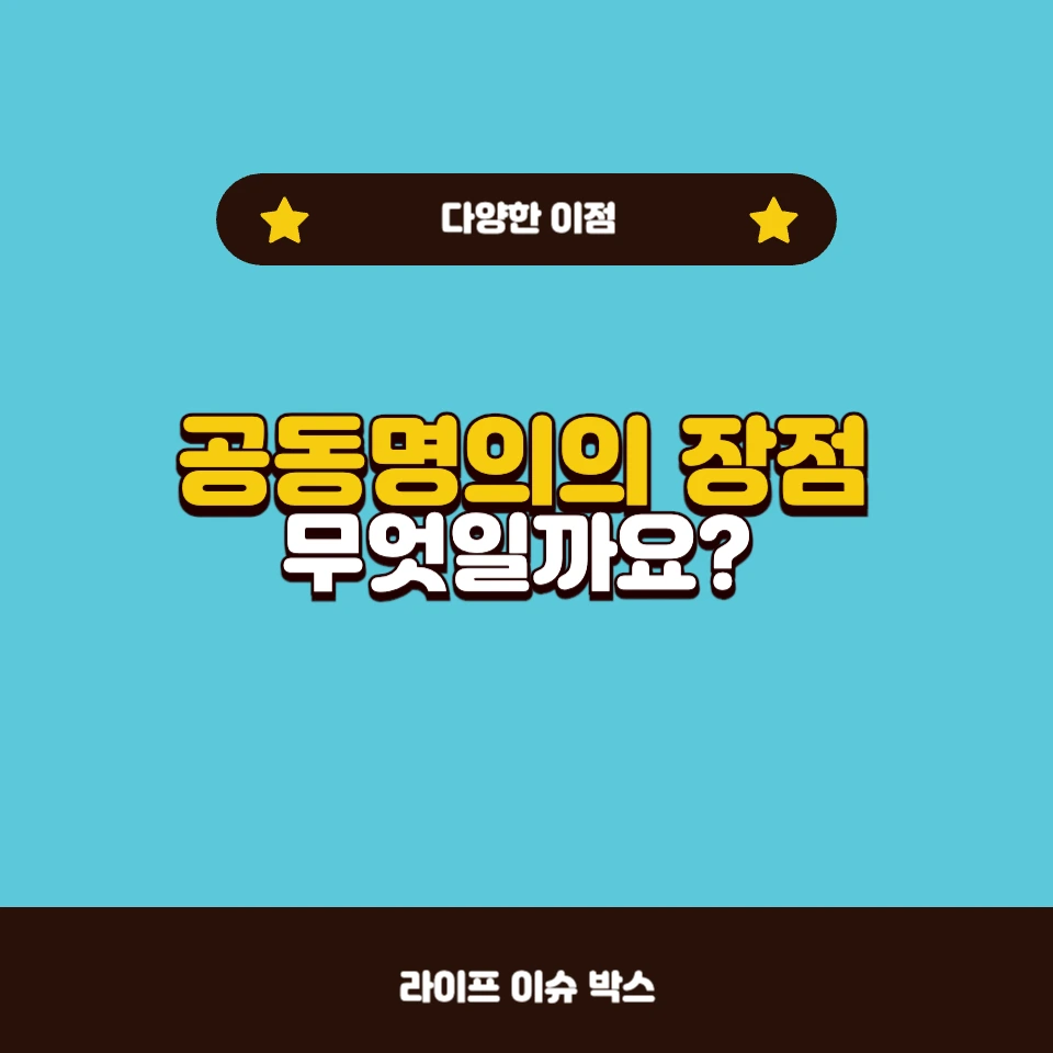 공동명의 설정의 장점