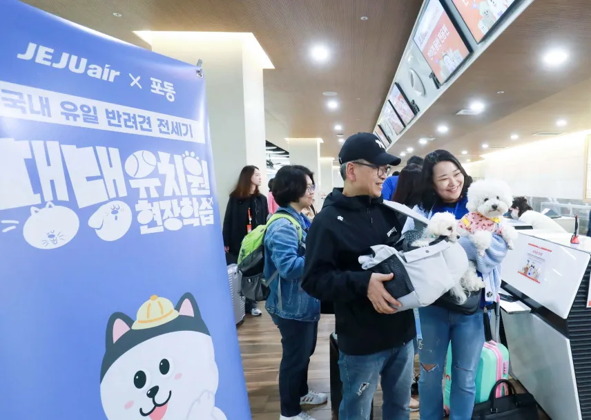 포동 반려견 전용 비행기 탑승 티켓 예매 가격 방법