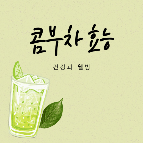 콤부차 효능