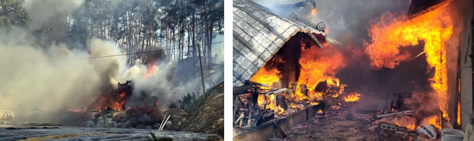 강릉 산불 확산