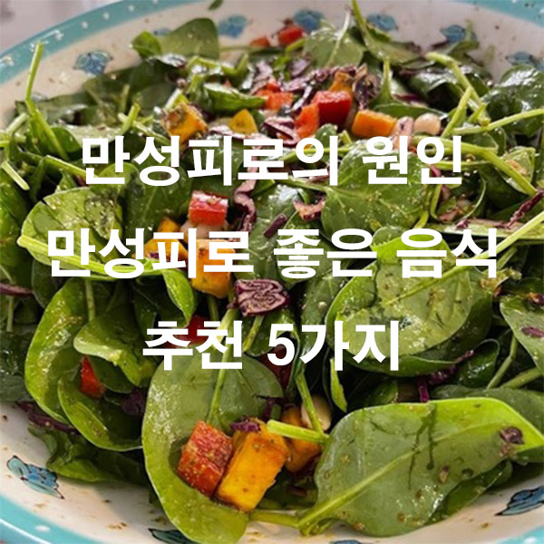 만성피로의 원인 만성피로 좋은 음식 추천 5가지