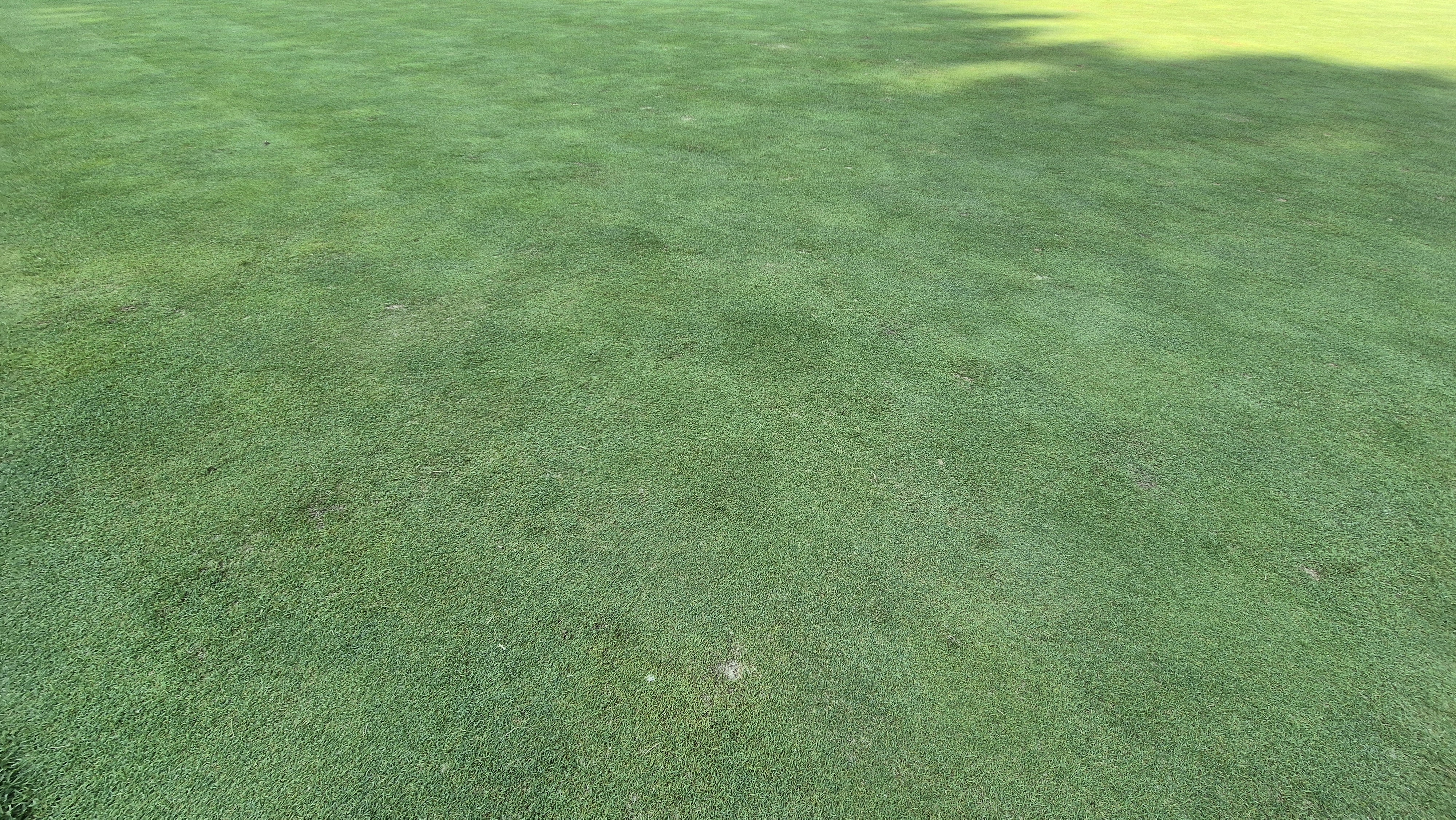 골프존카운티 안성H