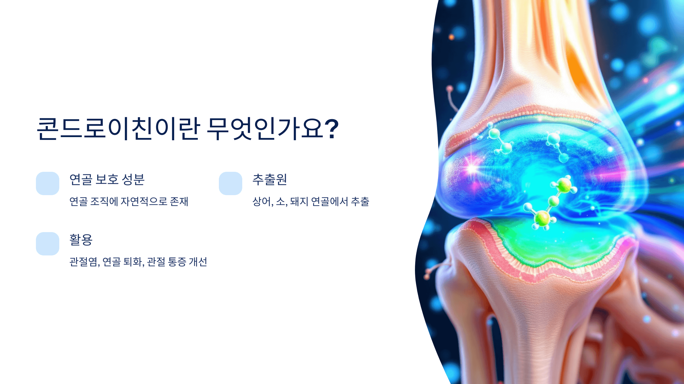 콘드로이친과 관련된 사진입니다.