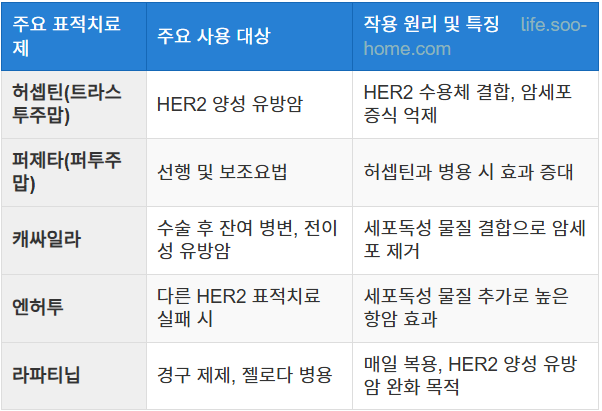 표적치료와 HER2 양성 유방암