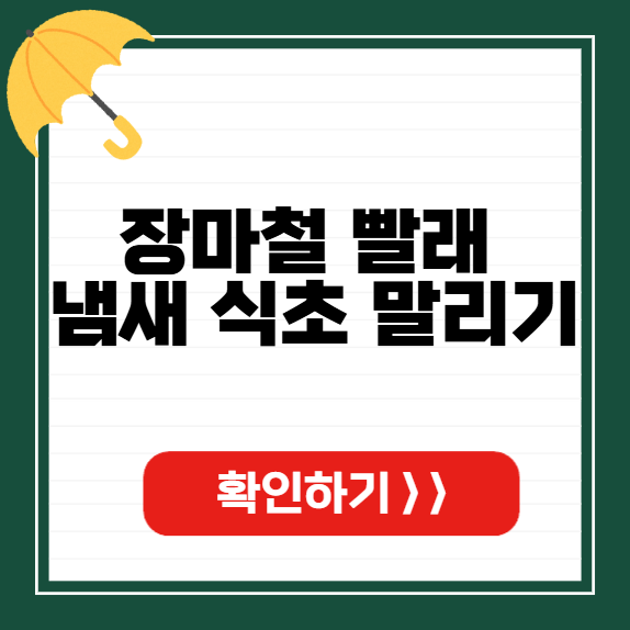 장마철 빨래 냄새