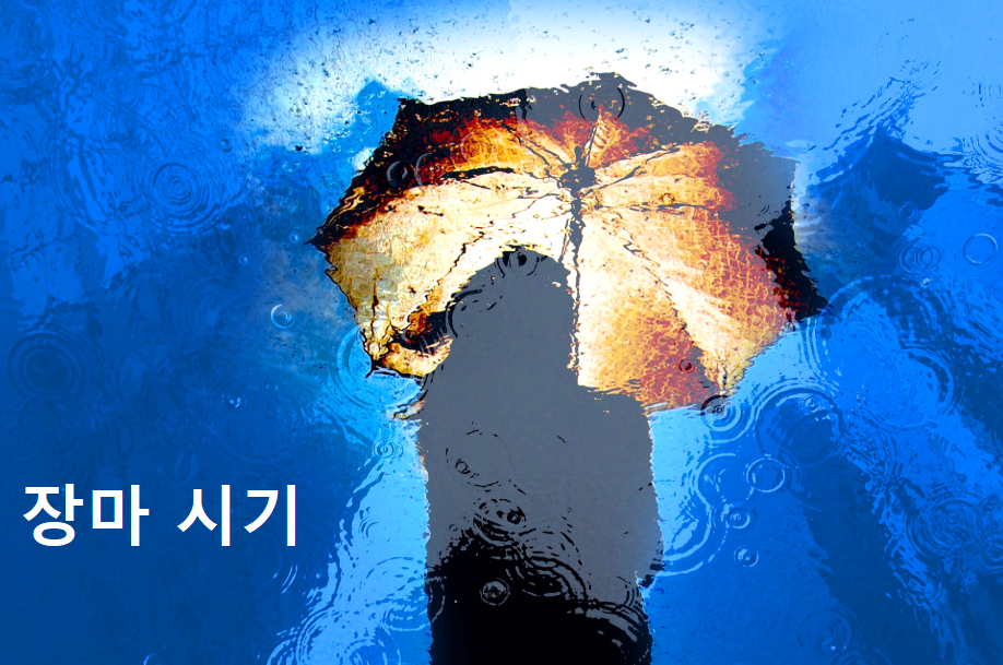 장마 시기