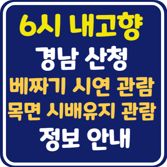 6시 내고향 산청 배짜기 시연 관람 및 시배유지 관람 정보 안내