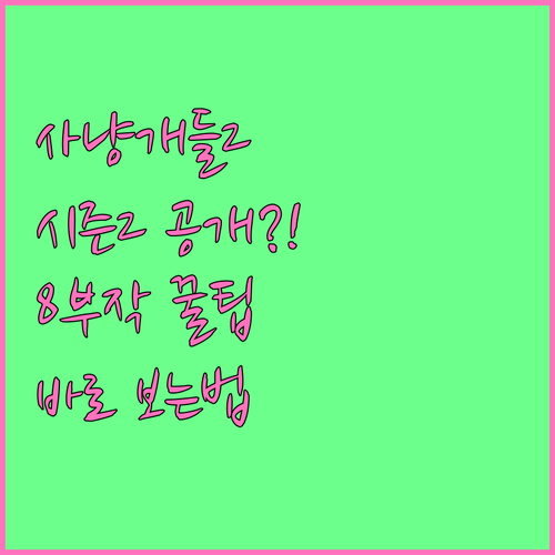 사냥개들2 시즌2 8부작 및 시청 방..