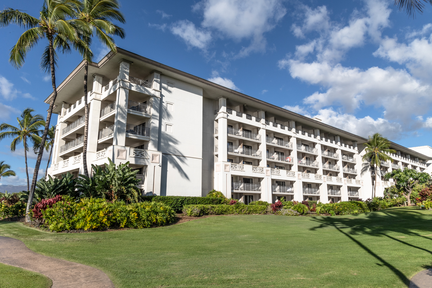 빅아일랜드 페어몬트오키드