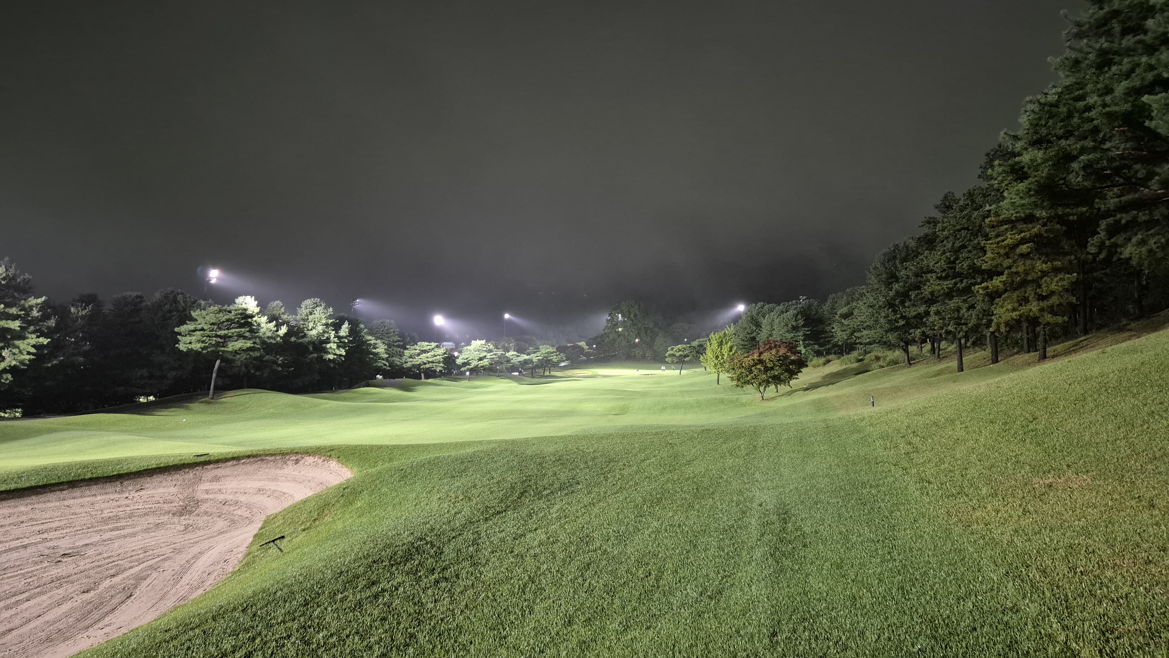 블루원용인cc 중코스