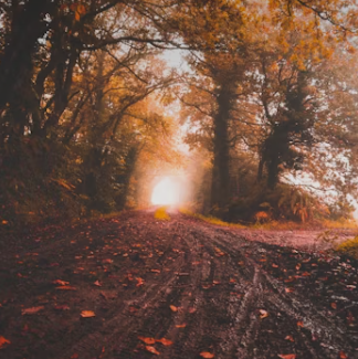 국민연금 유족연금 수령조건 국민연금 유족연금비율 수령액