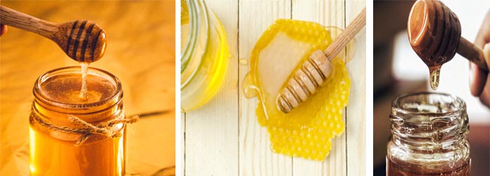 여러가지-꿀사진