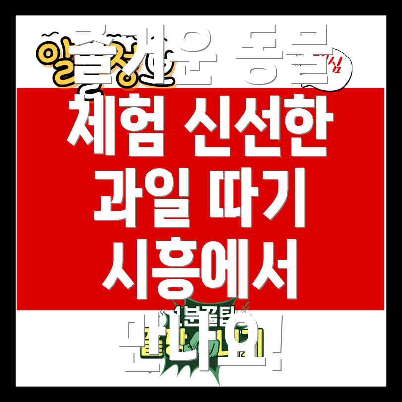 시흥 동물 체험과 과일 따기